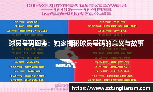 球员号码图鉴：独家揭秘球员号码的意义与故事